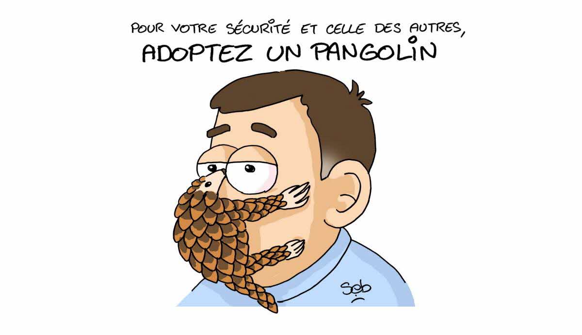 l-humour-au-temps-du-coronavirus-1587134817
